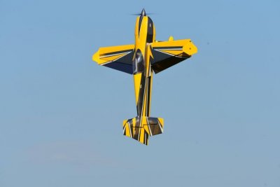Skywing Edge ARF 20CC/ 90E 67" Gul-Svart